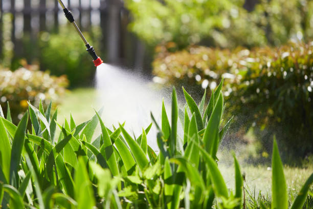 Tamper-Resistant Bait Stations for Rodents in Avenal
