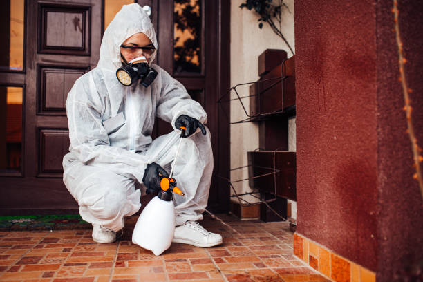 Attic and Crawl Space Rodent Treatment in Avenal