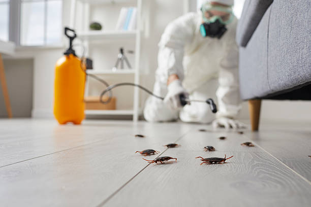 Commercial Rodent Management in Avenal